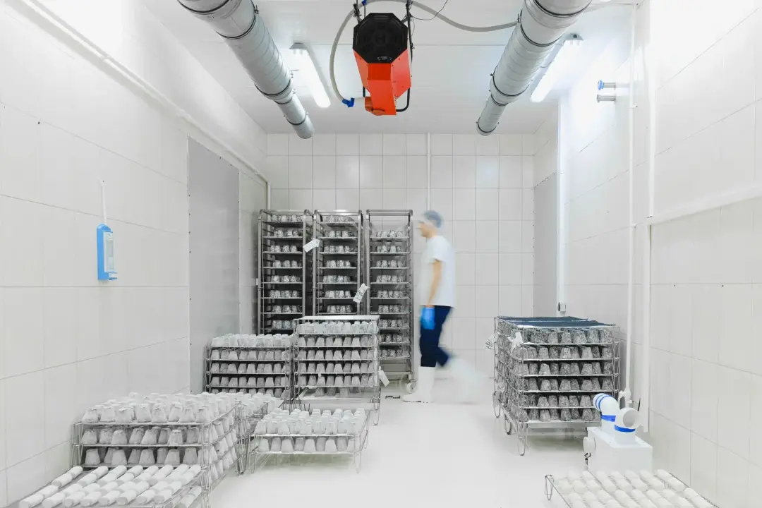 Uneven Temperatures Inside Refrigerated Areas